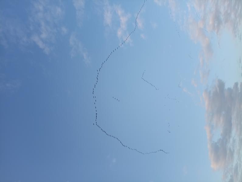 В Рязанской области потеплеет до 15 градусов